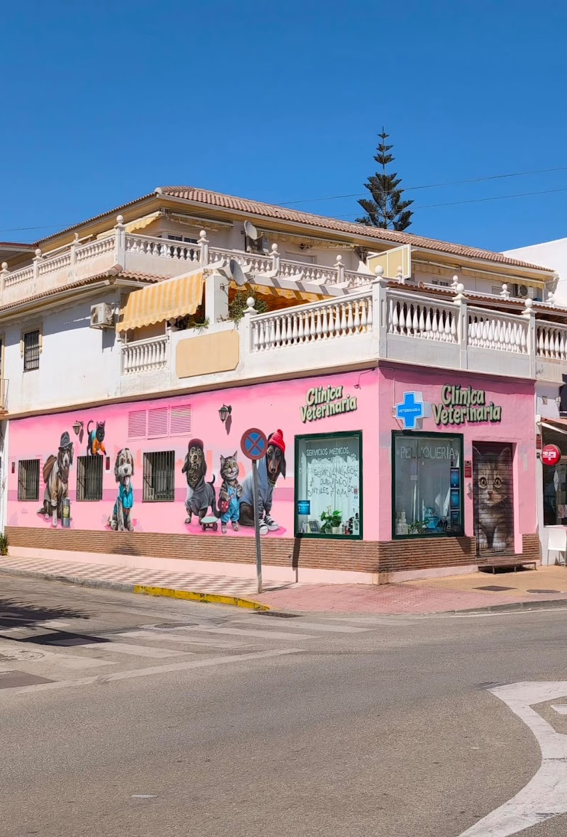 Clinica Veterinaria VetMálaga