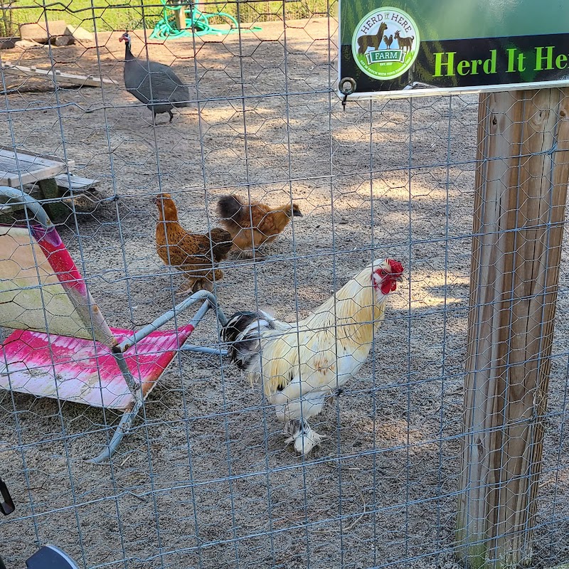 Herd It Here Farm - Photo 6