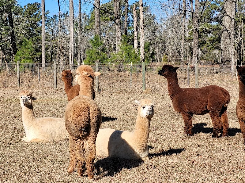 Herd It Here Farm - Photo 1