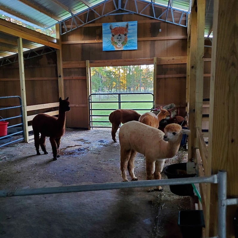 Herd It Here Farm - Photo 3