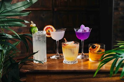 Elephant East photo 3