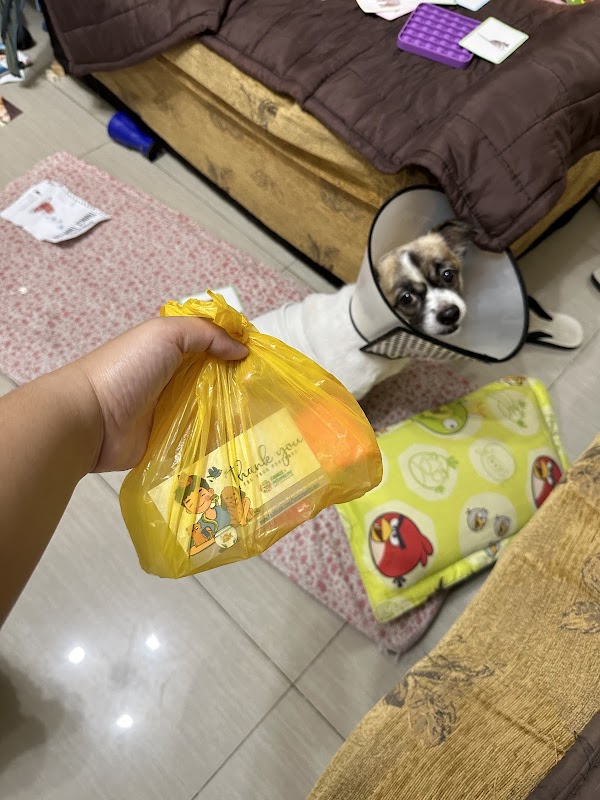 Fangs & Pedipalps Pet Supplies