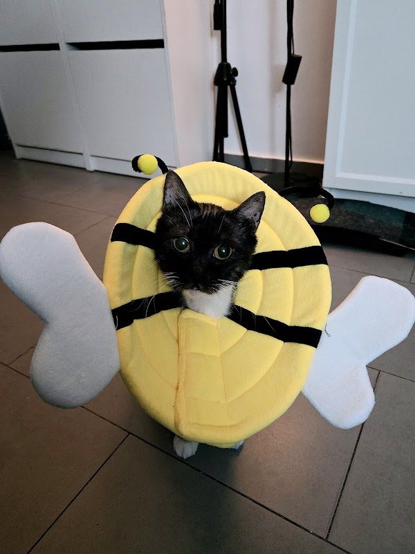 Fangs & Pedipalps Pet Supplies