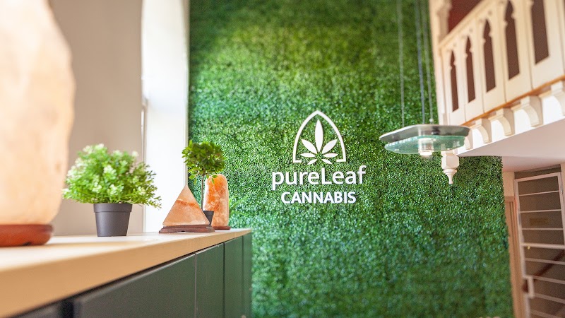 Pure Leaf Connoisseur