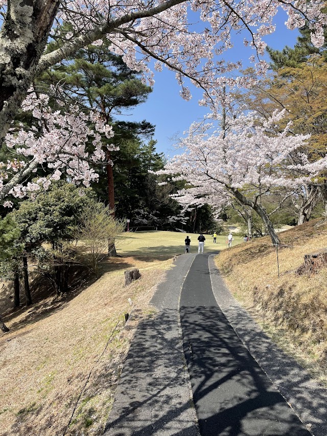 Biwa Lake Country Club - Photo 8