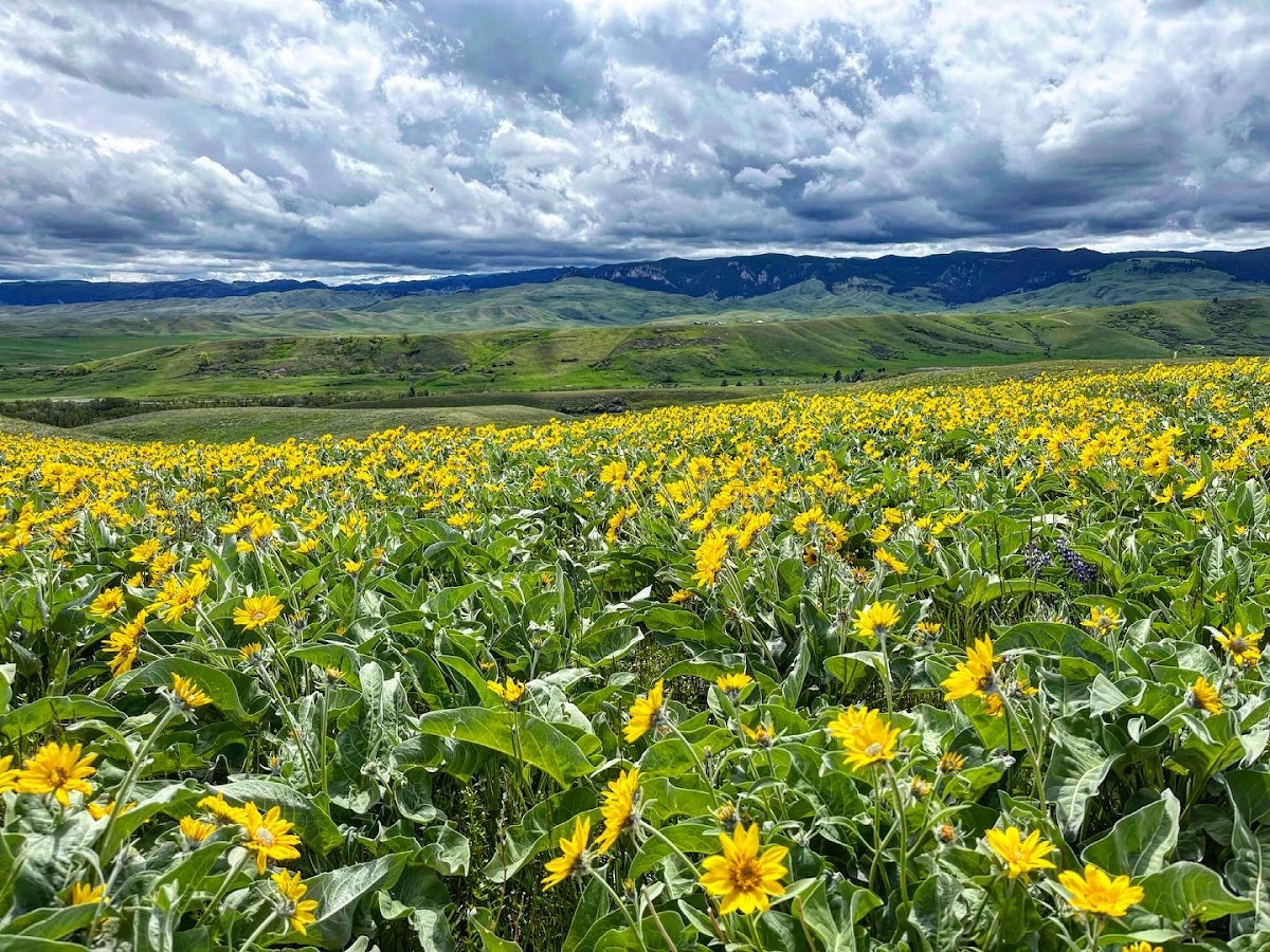 Lucky Chukar Ranch