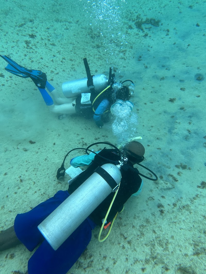 Cayman Diving School photo 2