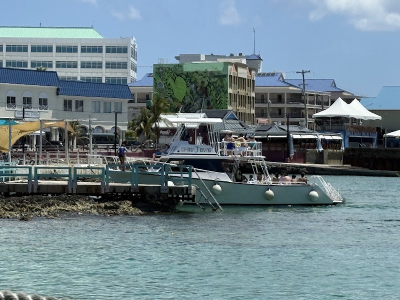Cayman Diving School photo 3