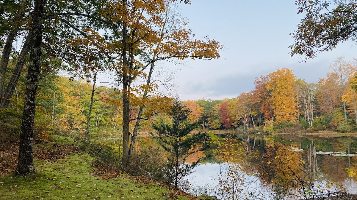 Dharma Drum Retreat Center — 3