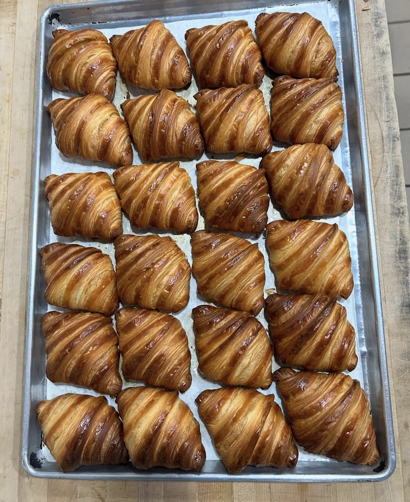 Coffee Hound photo 2