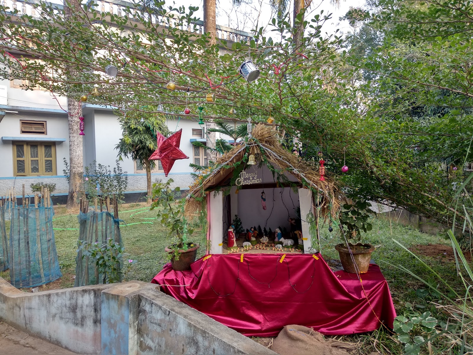 Asha Holy Cross Google photo 2
