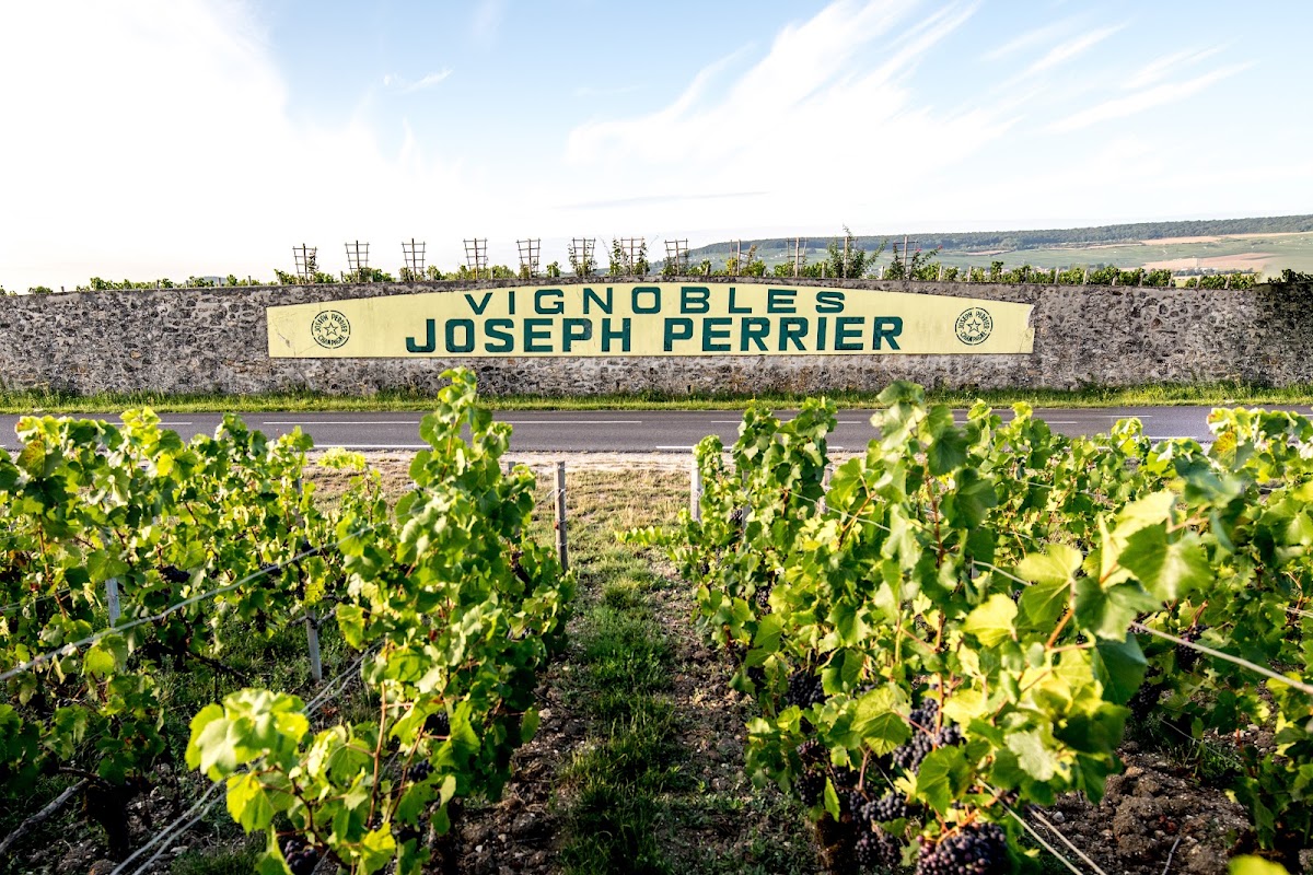 Champagne Joseph Perrier