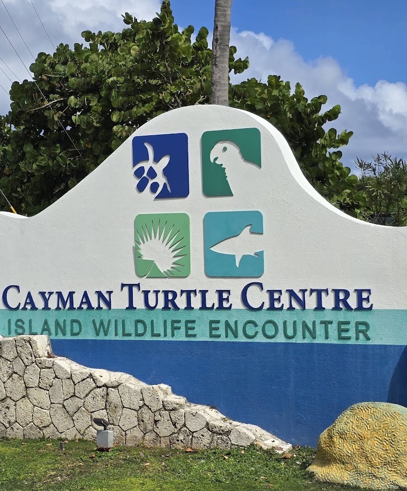Cayman Turtle Centre photo 2
