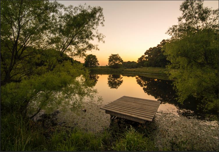 Circle S Ranch & Country Inn - Photo 4
