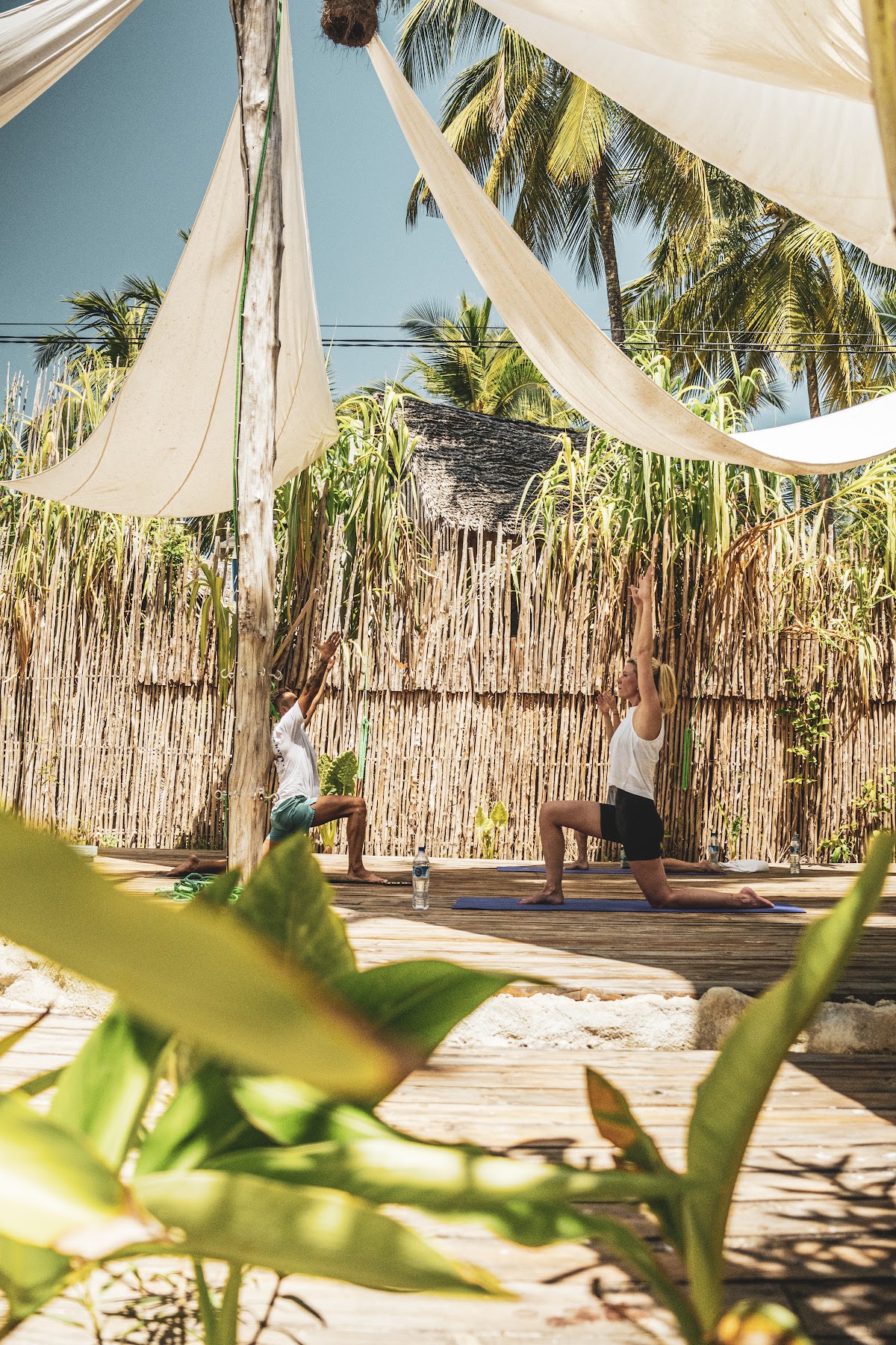 Yoga @ The Nest