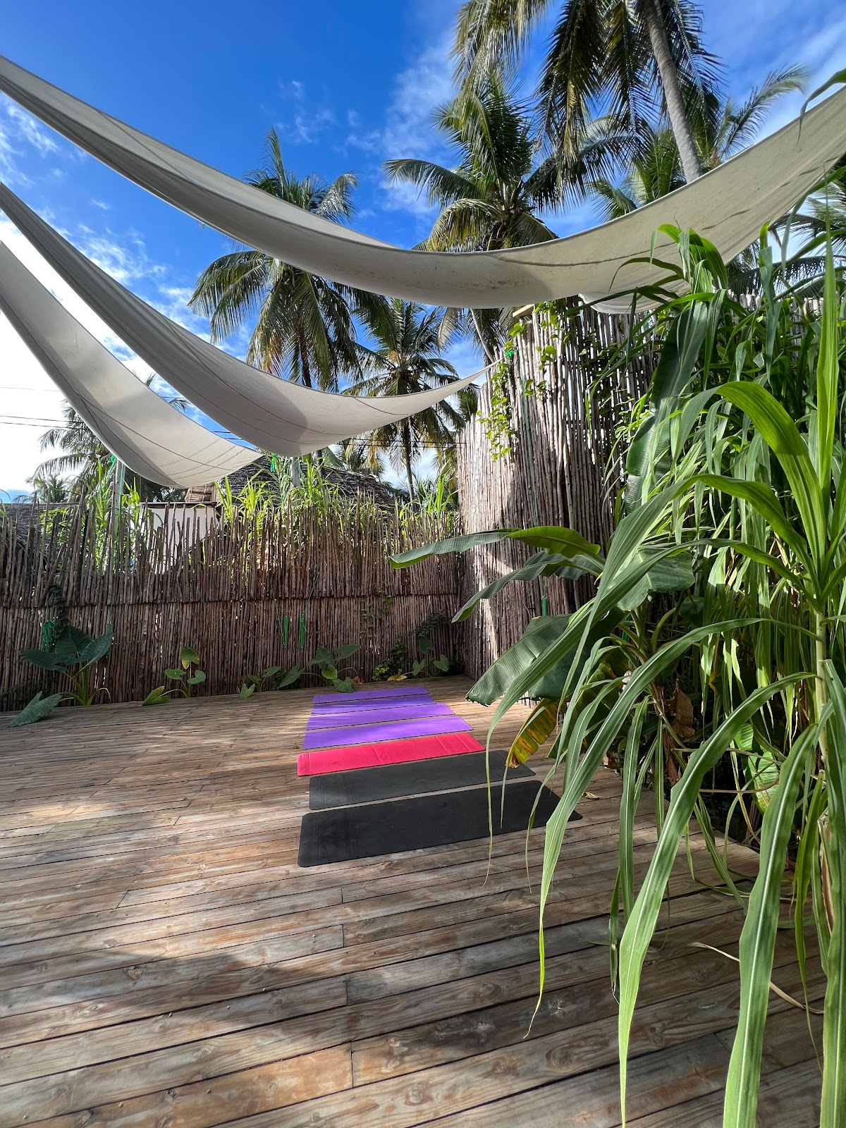 Yoga @ The Nest — 4