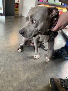 Clínica veterinaria Unai San Vicente Alvarez