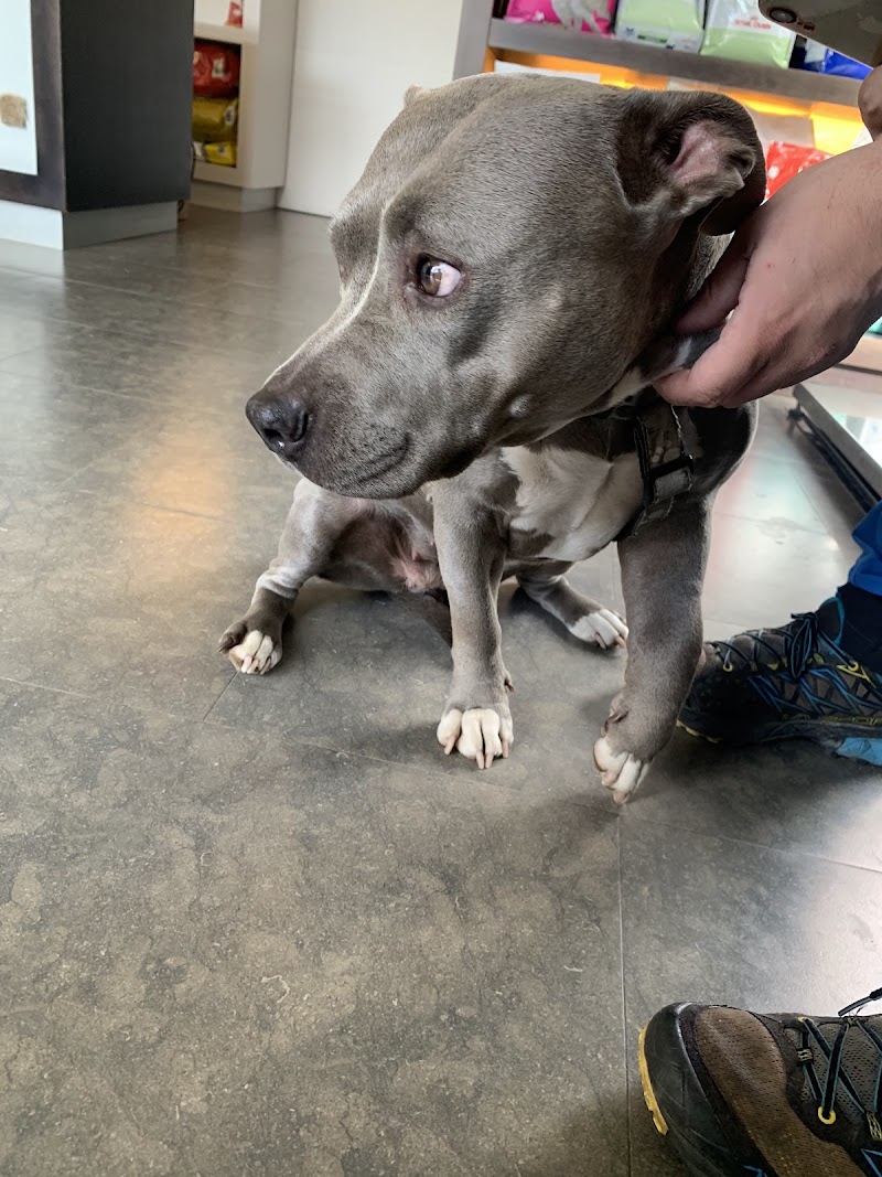 Clínica veterinaria Unai San Vicente Alvarez