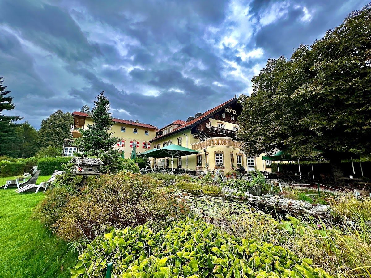 Hotel Grünwalderhof, dog-friendly hotel in Innsbruck