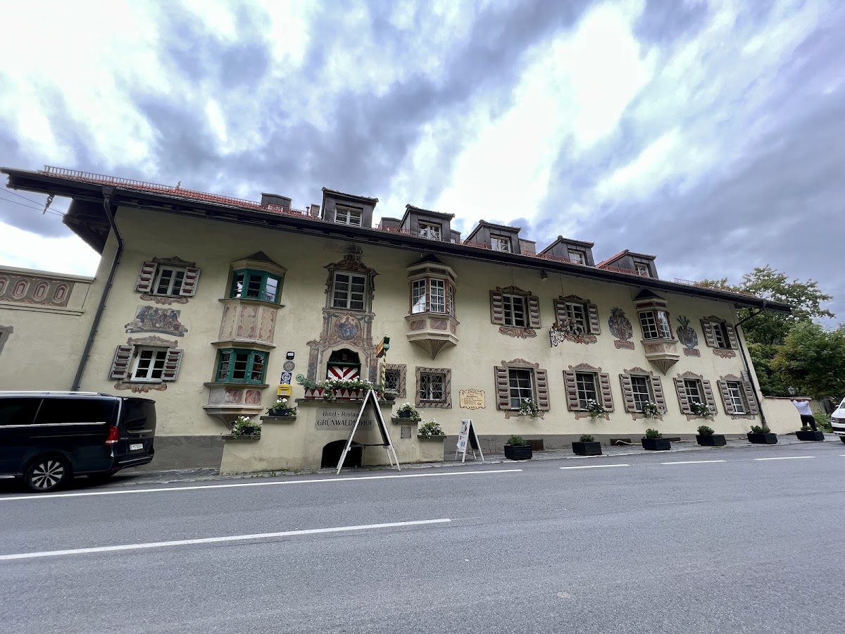 Hotel Grünwalderhof, dog-friendly hotel, photo 4