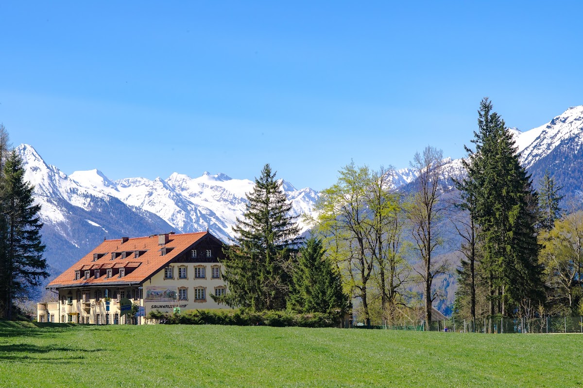 Hotel Grünwalderhof, dog-friendly hotel, photo 3