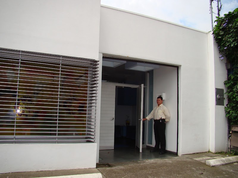 Gallery 4