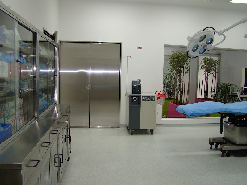 Gallery 5