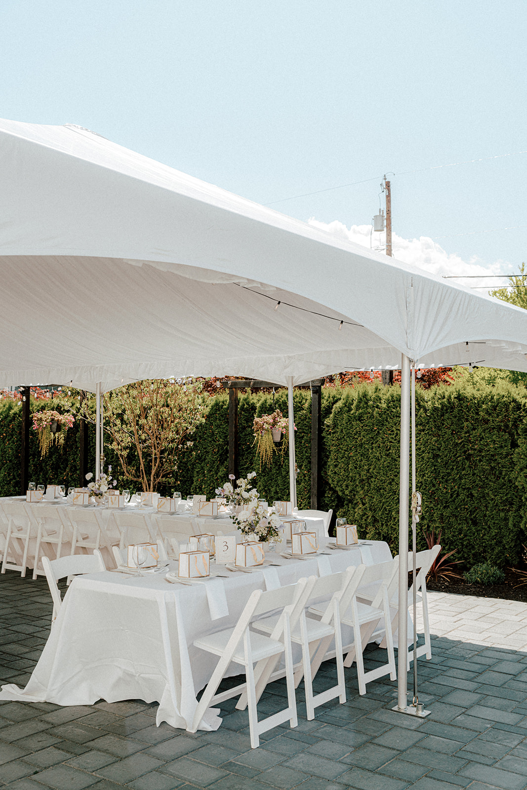Jashan Event Services: Google Places image 1