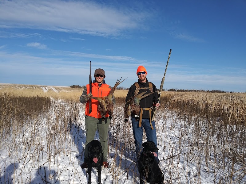 Bad River Buck & Birds - Photo 1
