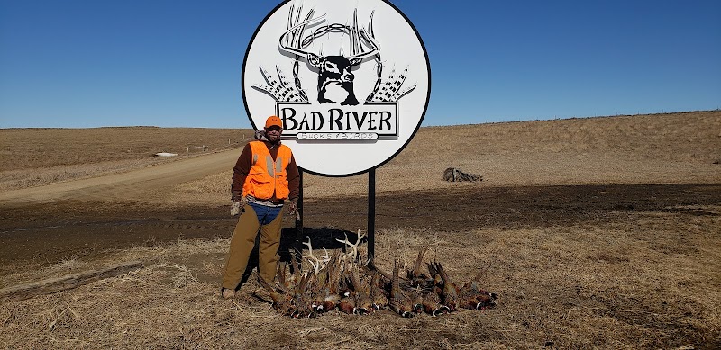 Bad River Buck & Birds - Photo 4