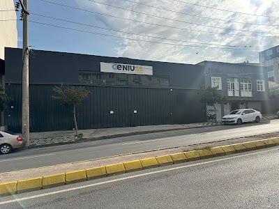 Geniuss Lojistik Dağıtım Depolama Taşımacılık Sanayi ve Ticaret Anonim Şirketi - Nakliyat
