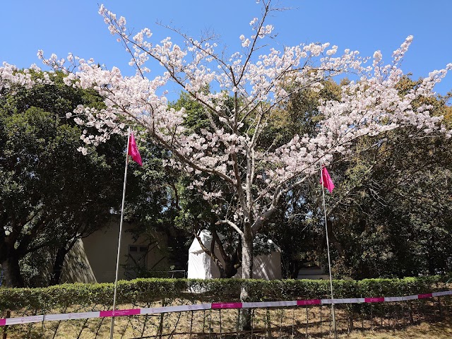 Katsuragi Golf Club - Photo 6