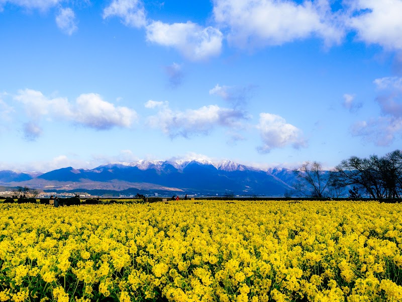 守山市立なぎの木公園