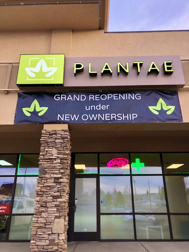 Video tour of Plantae retail environment