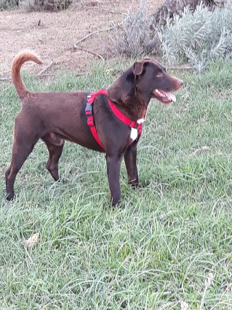 Clínica Veterinaria ZARPAS