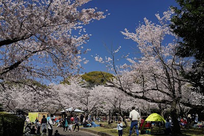 Hijiyama Park - 2