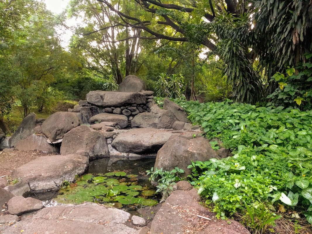 Osho Garden