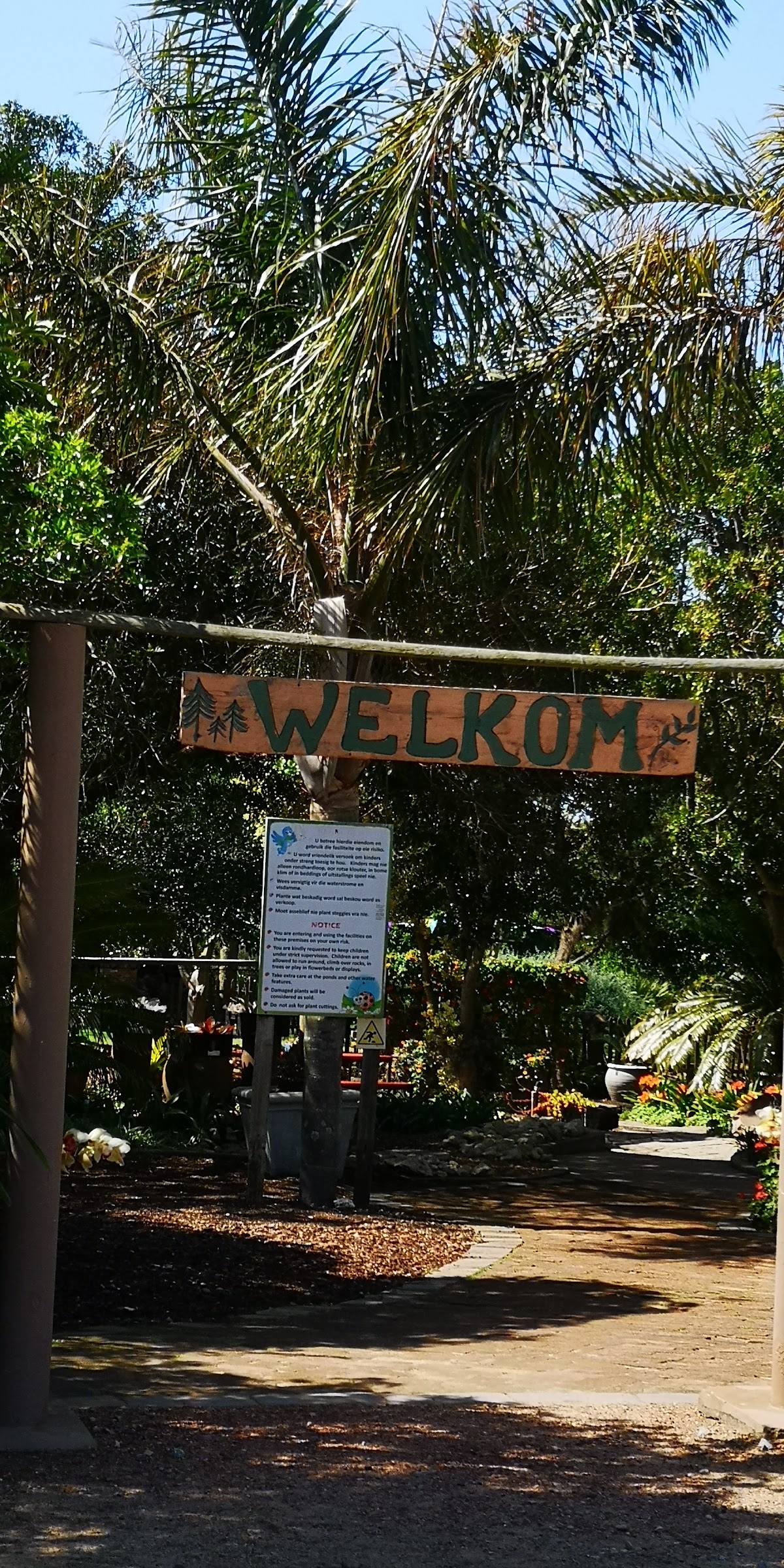 Die Wandelpad — photo 3