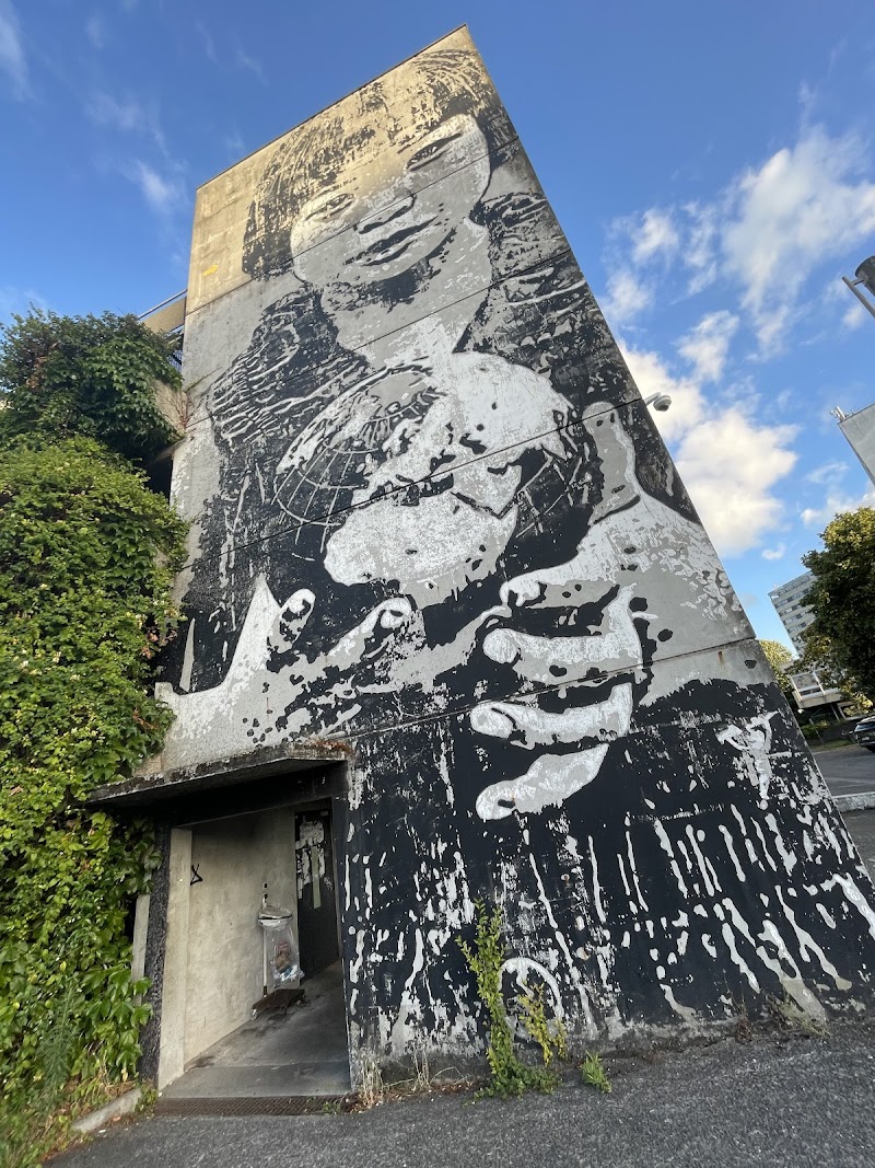 CHU Pellegrin - Bordeaux