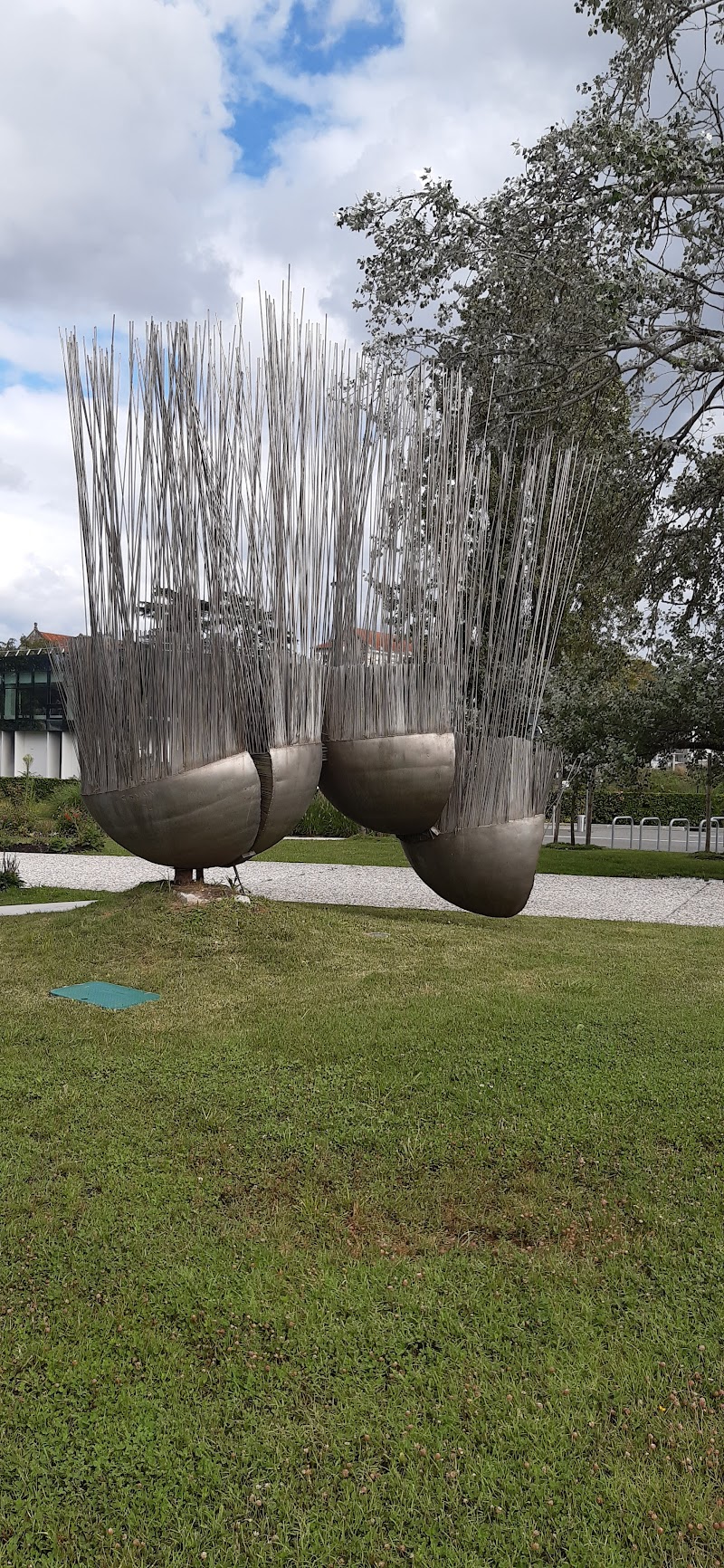 CHU Pellegrin - Bordeaux