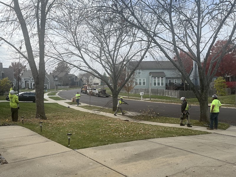 RC Tree Service
