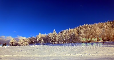 Shiga Kogen Hoppo Bunadaira Ski Area - 5