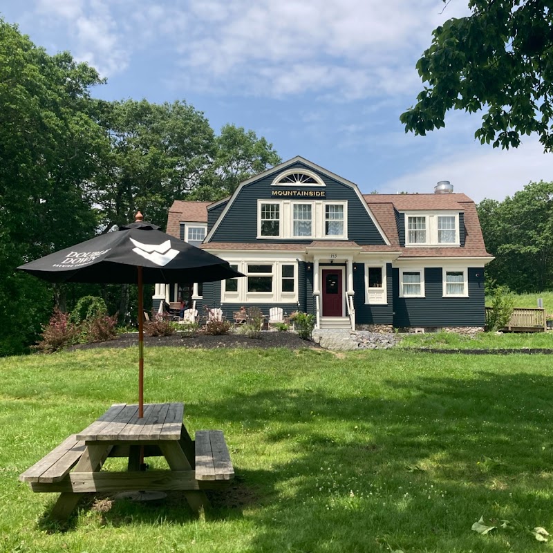 Mountainside photo 4