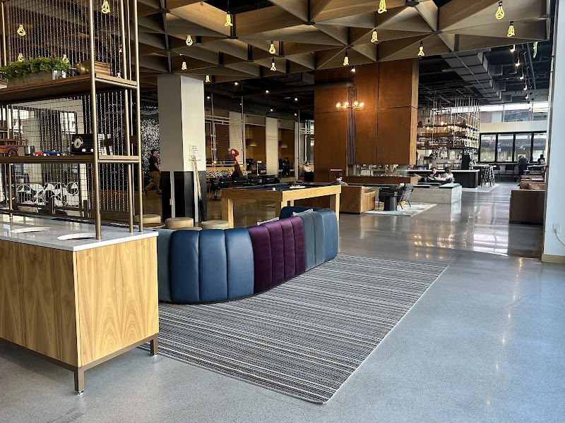 Vibe Coffee and Wine photo 2