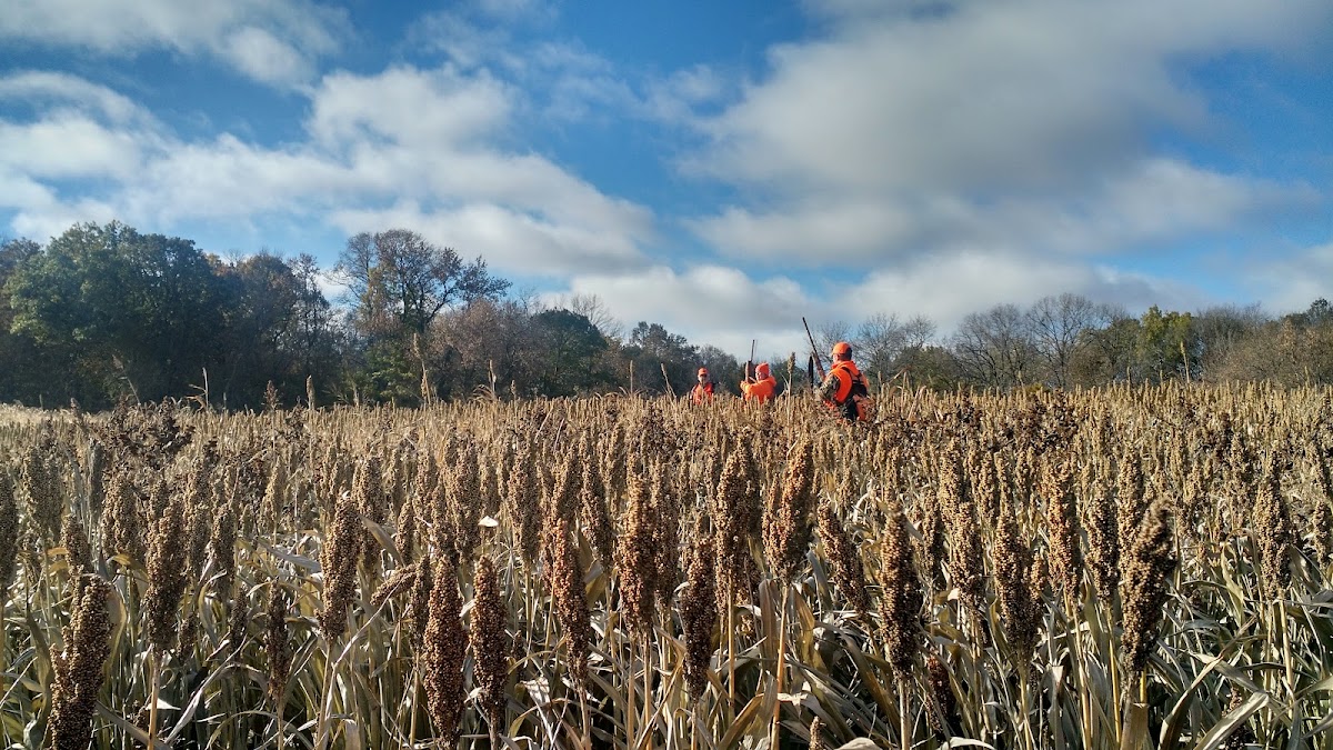 Gold Meadows Hunting Preserve