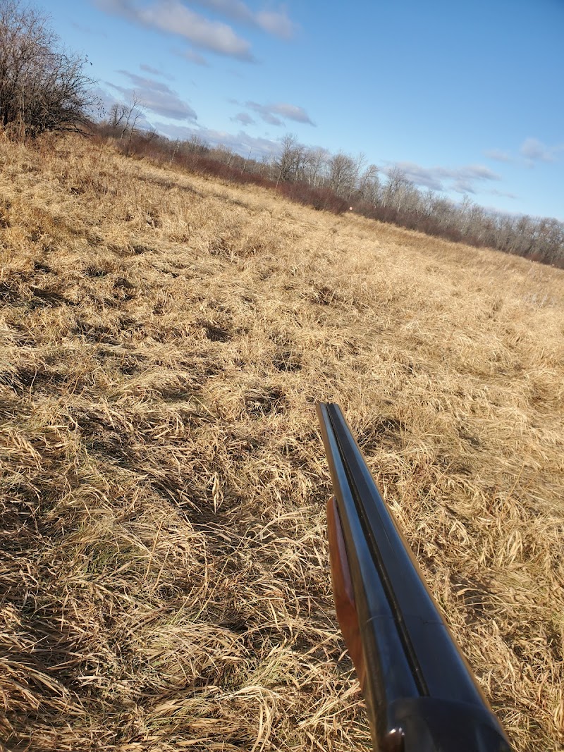 Gold Meadows Hunting Preserve - Photo 6