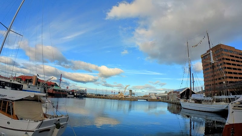 Constitution Dock Fresh Fish photo 9