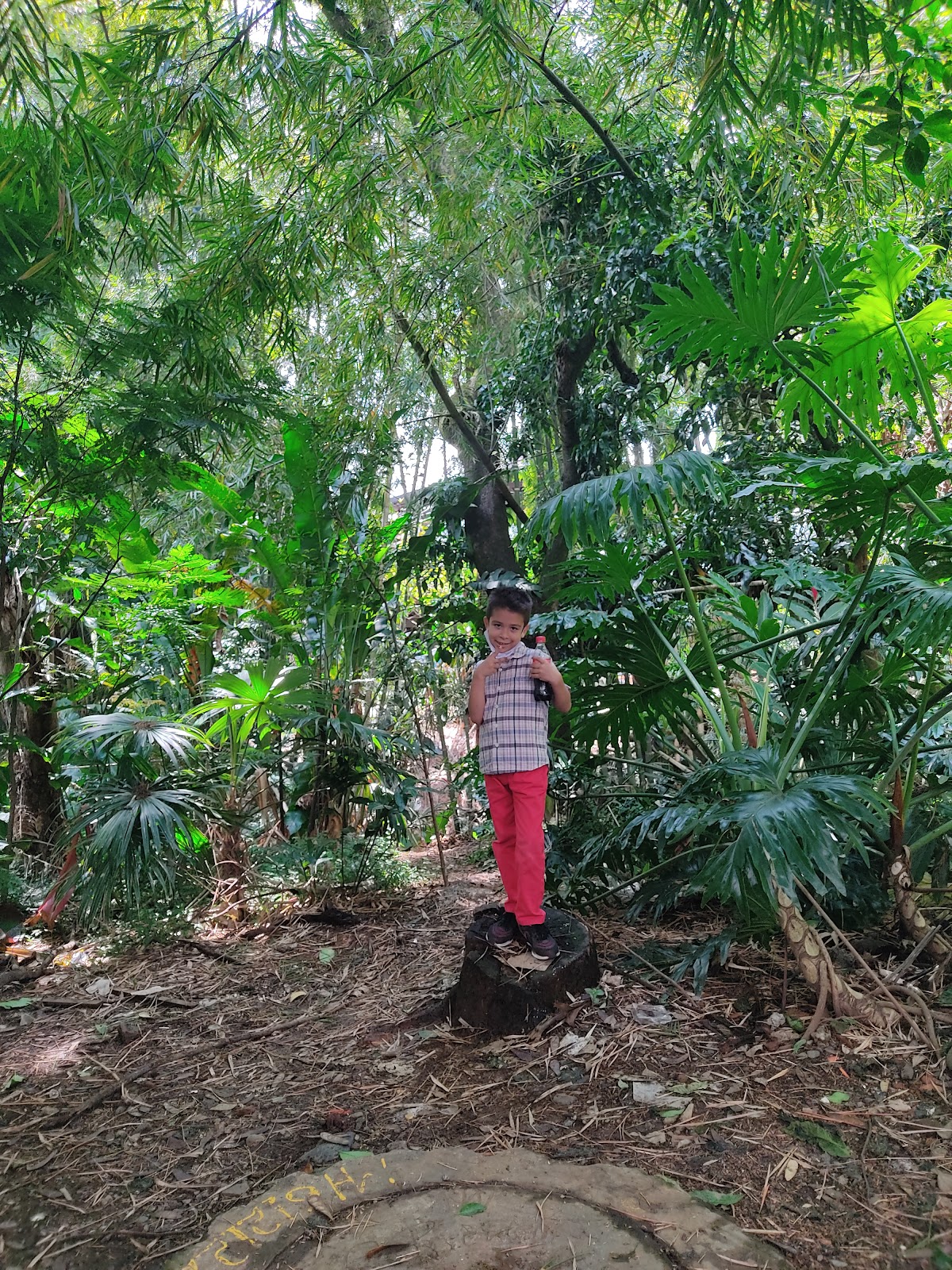 Parque La Presidenta