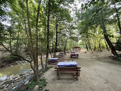Çınar balık - Restoran
