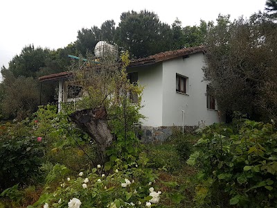 Kuşadası Arçelik Beko Altus Grundig Servisi - Beyaz Eşya Servisi